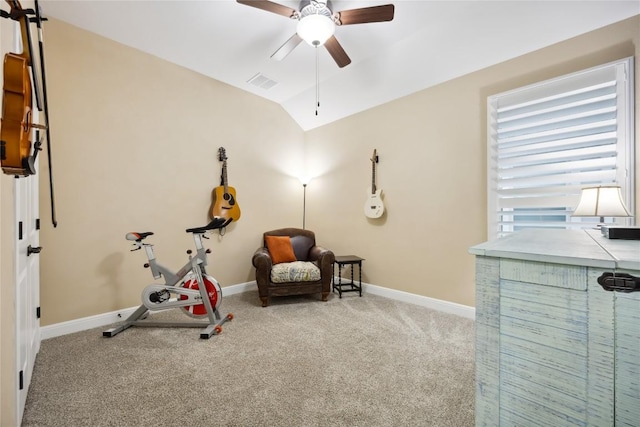 2628 Reunion Blvd, Austin, TX 78737 - workout room with ceiling fan, carpet, baseboards, and lofted ceiling