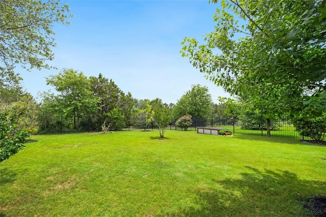 2628 Reunion Blvd, Austin, TX 78737 - view of yard