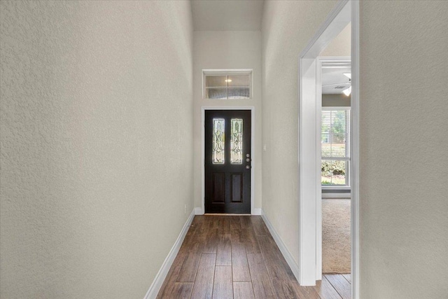 6500 Llano Stage Trl, Austin, TX 78738 - entryway featuring dark wood-style floors, baseboards, and a textured wall