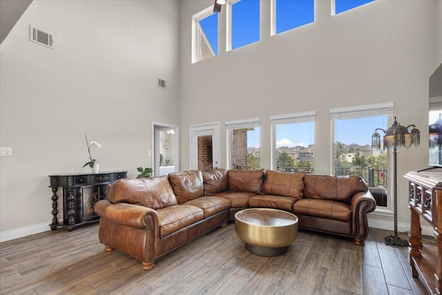 6500 Llano Stage Trl, Austin, TX 78738 - living area with wood finished floors, a towering ceiling, healthy amount of natural light, and baseboards