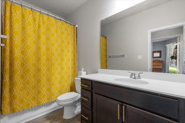 6500 Llano Stage Trl, Austin, TX 78738 - full bathroom featuring wood finished floors, toilet, vanity, and curtained shower