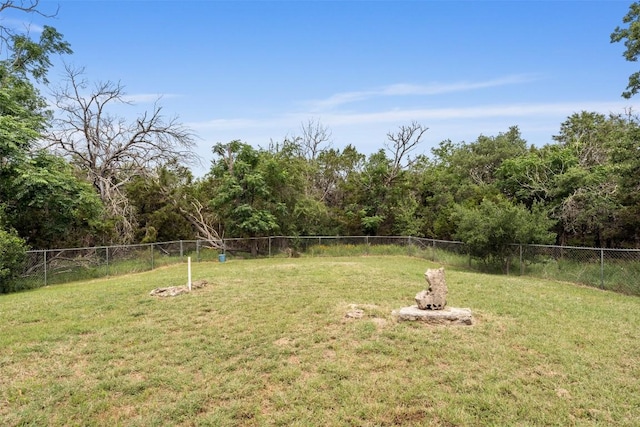 8281 Mountain Dr, Salado, TX 76571 - view of yard