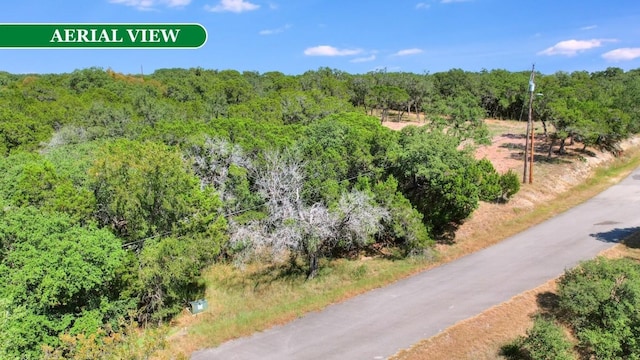 21900 Mockingbird St, Lago Vista, TX 78645 - photo 4
