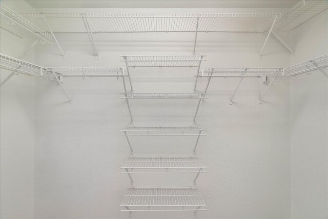 1025 Doras Dr, Pflugerville, TX 78660 - view of walk in closet