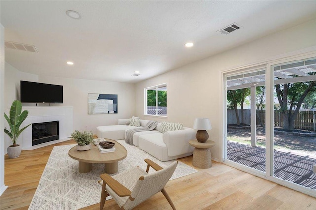 1025 Doras Dr, Pflugerville, TX 78660 - living area with light wood-style flooring, a fireplace, and recessed lighting