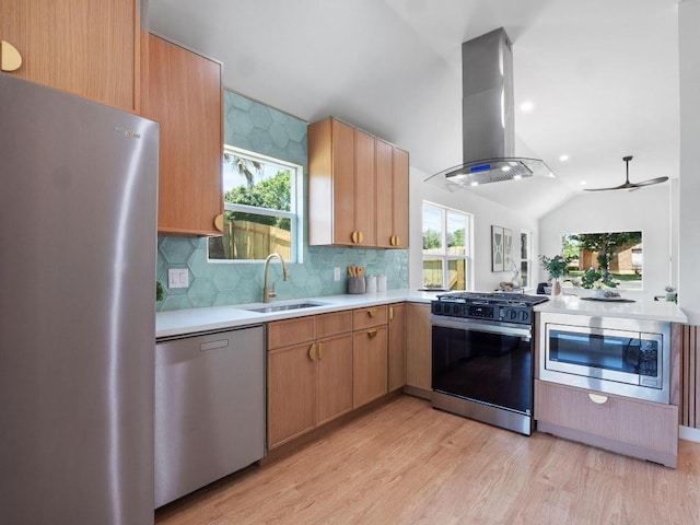 2401 Lendall Ln, Austin, TX 78744 - kitchen with stainless steel appliances, a sink, island range hood, light countertops, and light wood-style floors