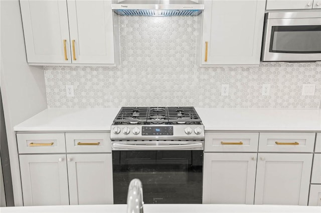 3321 Hemlock Ave Unit 2, Austin, TX 78722 - kitchen featuring stainless steel appliances, range hood, and light countertops