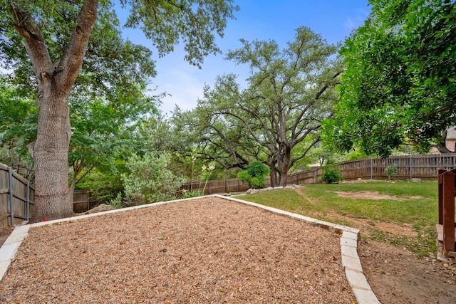 13129 Halsell Dr, Austin, TX 78732 - view of yard