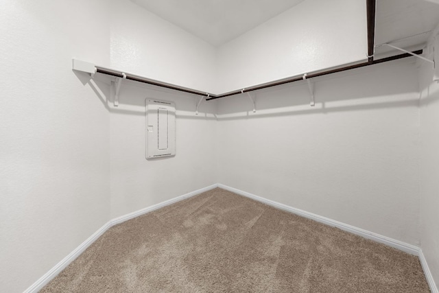208 Bunting Ln, Bertram, TX 78605 - spacious closet featuring carpet floors and electric panel