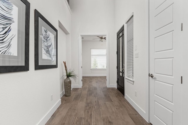 904 Arundel Rd, Lakeway, TX 78738 - hallway featuring wood finished floors and baseboards