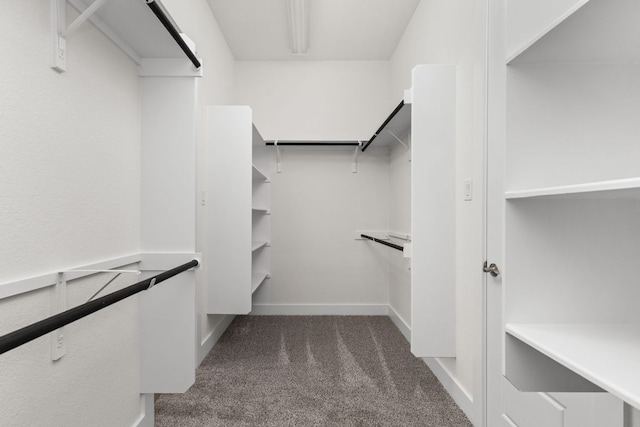 904 Arundel Rd, Lakeway, TX 78738 - walk in closet featuring carpet flooring