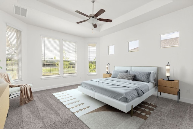 904 Arundel Rd, Lakeway, TX 78738 - bedroom with carpet, baseboards, a raised ceiling, and a ceiling fan