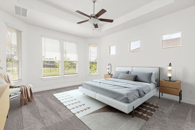 904 Arundel Rd, Lakeway, TX 78738 - carpeted bedroom with ceiling fan and a tray ceiling