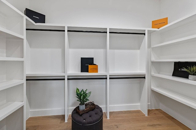 4303 Hank Ave, Austin, TX 78745 - walk in closet with light wood-style flooring