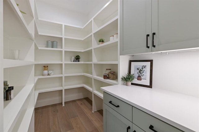 1207 Aggie Ln, Austin, TX 78757 - view of storage area