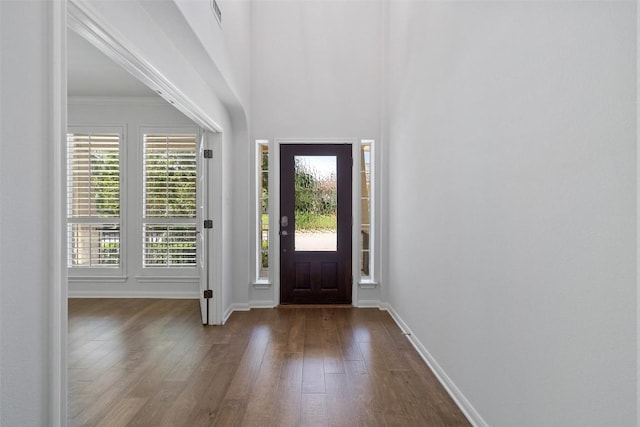 14408 Broadwinged Hawk Dr, Austin, TX 78738 - foyer featuring wood-type flooring and baseboards
