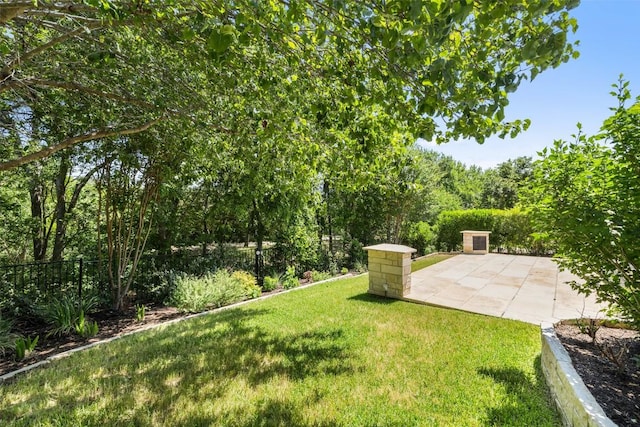 14408 Broadwinged Hawk Dr, Austin, TX 78738 - view of yard with a patio