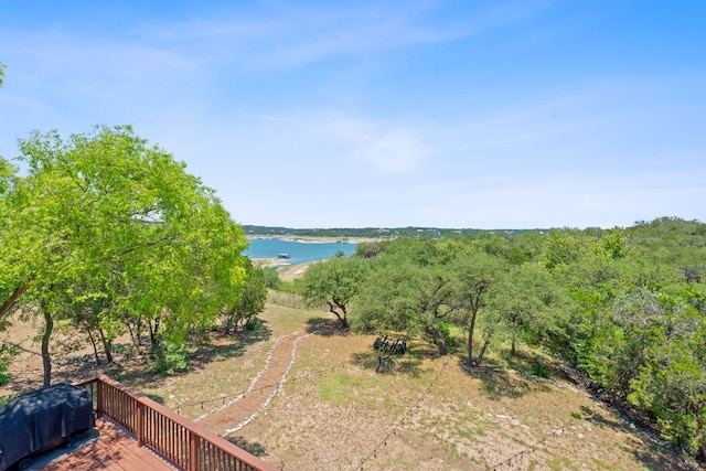 156 Lakefront Dr, Point Venture, TX 78645 - water view