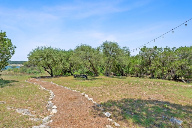 156 Lakefront Dr, Point Venture, TX 78645 - view of yard