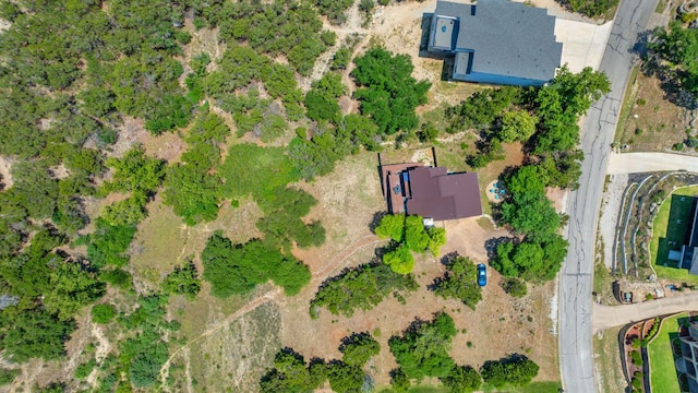 156 Lakefront Dr, Point Venture, TX 78645 - aerial overview of property's location