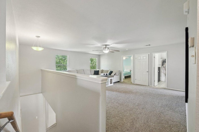 504 Chaparral Dr, Leander, TX 78641 - photo 24