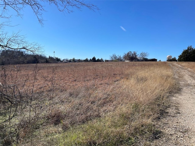 333 Spring Valley St, Hutto, TX 78634 - view of undeveloped land with rural landscape