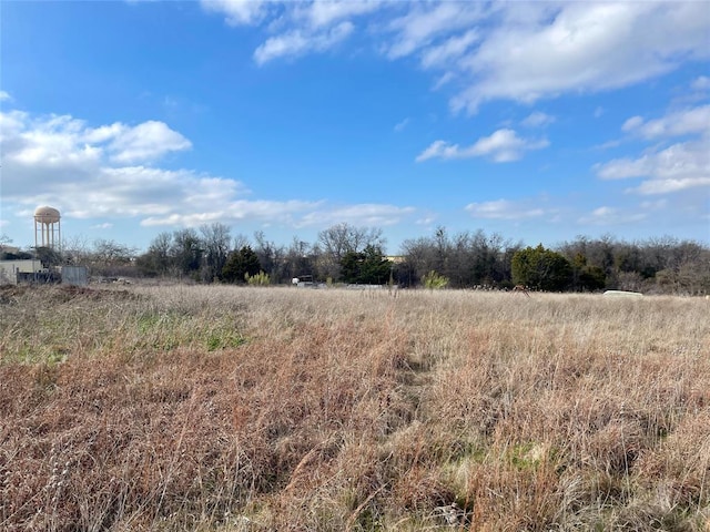 333 Spring Valley St, Hutto, TX 78634 - view of local wilderness featuring rural landscape