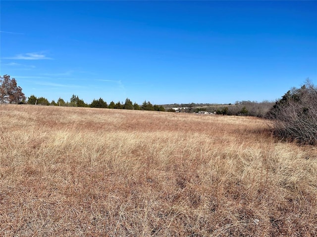 333 Spring Valley St, Hutto, TX 78634 - view of undeveloped land with rural landscape