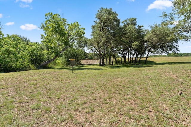 202 Dunkeld Dr, Spicewood, TX 78669 - view of green lawn