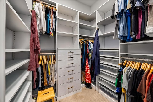2100 E 10th St, Austin, TX 78702 - view of walk in closet