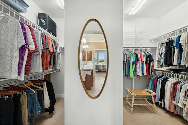 218 Duck Creek Ln, Georgetown, TX 78633 - walk in closet featuring carpet
