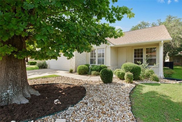 112 Anemone Way, Georgetown, TX 78633 - view of front of home featuring concrete driveway, roof with shingles, an attached garage, and a front yard
