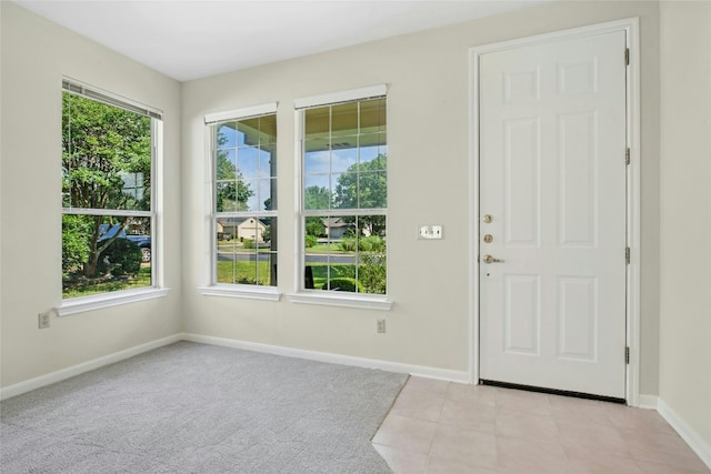 112 Anemone Way, Georgetown, TX 78633 - entryway with baseboards