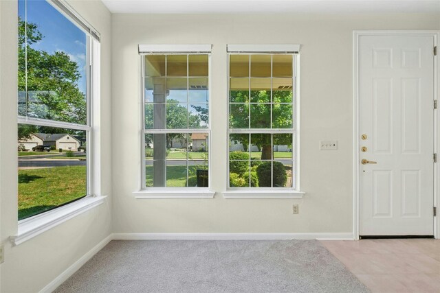 112 Anemone Way, Georgetown, TX 78633 - entryway with plenty of natural light and baseboards