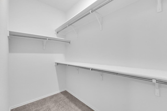 14516 Isidors Eagle Way, Elgin, TX 78621 - walk in closet with light colored carpet
