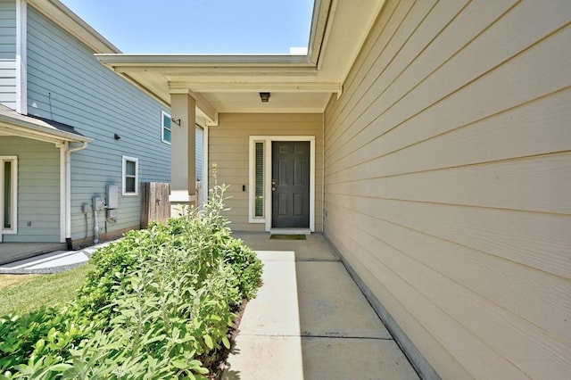 328 Triumph Rd, Buda, TX 78610 - view of property entrance