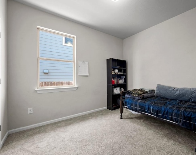 328 Triumph Rd, Buda, TX 78610 - bedroom with carpet floors and baseboards