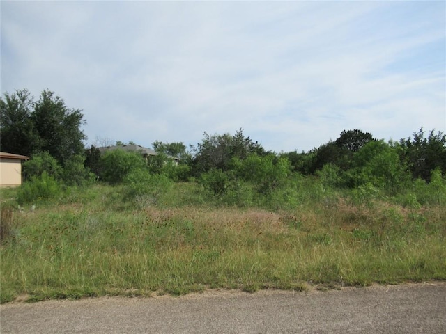 22030 Redbird Dr, Lago Vista, TX 78645 - photo 1
