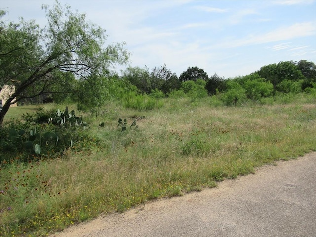 22030 Redbird Dr, Lago Vista, TX 78645 - photo 2