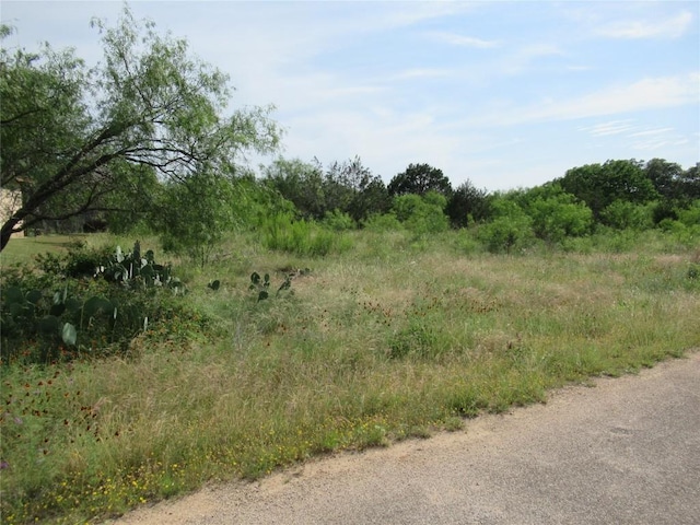 22030 Redbird Dr, Lago Vista, TX 78645 - photo 3