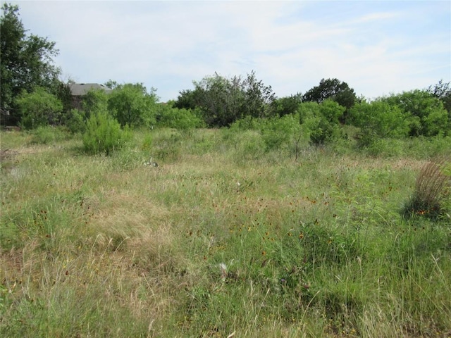 22030 Redbird Dr, Lago Vista, TX 78645 - photo 4