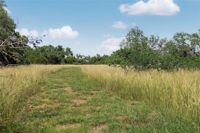 110 Purgatory Pass, San Marcos, TX 78666 - photo 40