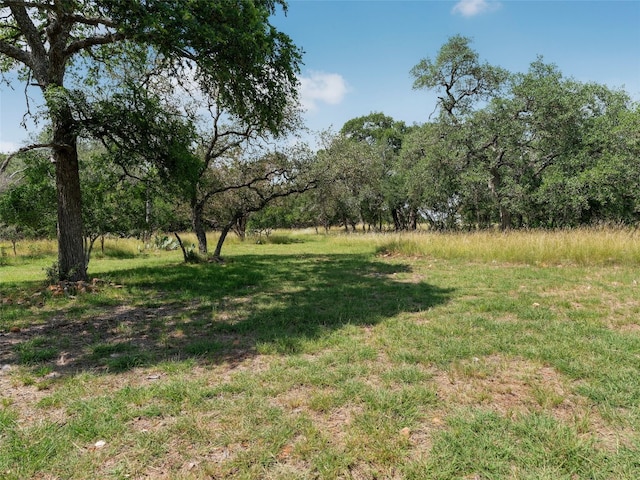 110 Purgatory Pass, San Marcos, TX 78666 - photo 39