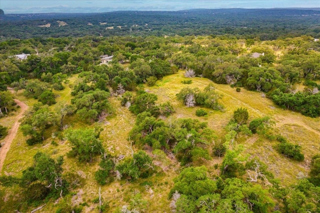 110 Purgatory Pass, San Marcos, TX 78666 - photo 36