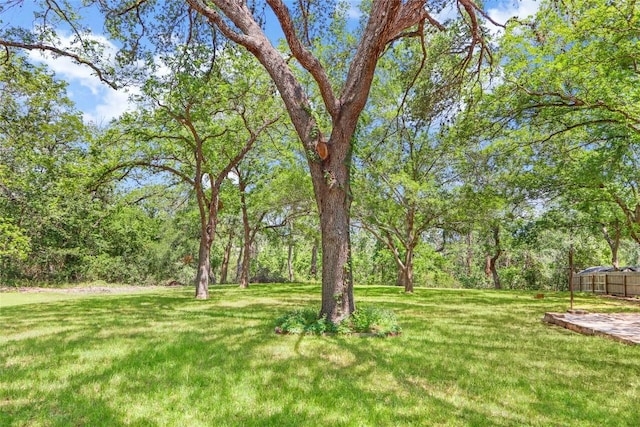 242 Meadow Lake Dr, Seguin, TX 78155 - view of grassy yard