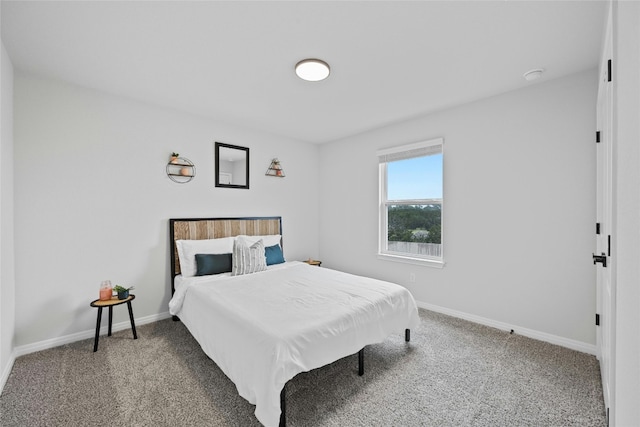 553 Longmount Cv, Liberty Hill, TX 78642 - photo 24