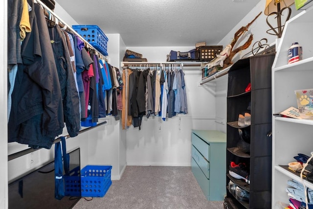 529 Cinnamon Teal Ln, Leander, TX 78641 - spacious closet featuring carpet