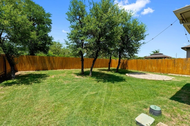 529 Cinnamon Teal Ln, Leander, TX 78641 - view of yard