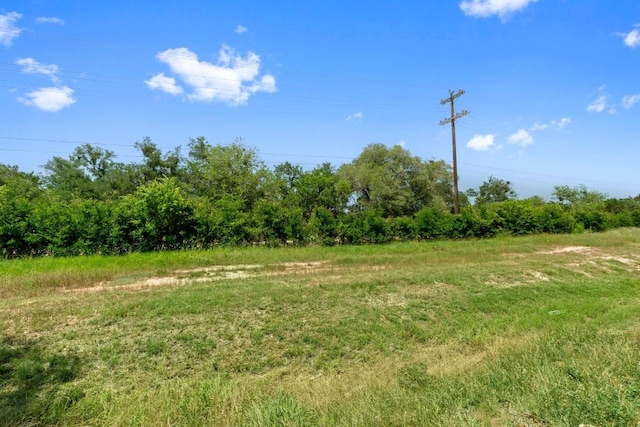 529 Cinnamon Teal Ln, Leander, TX 78641 - view of undeveloped land