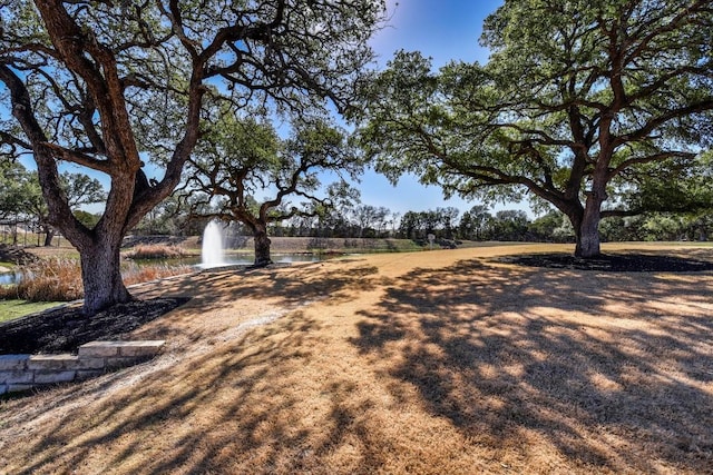 529 Cinnamon Teal Ln, Leander, TX 78641 - view of yard featuring a water view